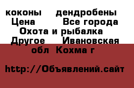 коконы    дендробены › Цена ­ 25 - Все города Охота и рыбалка » Другое   . Ивановская обл.,Кохма г.